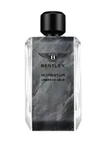 Momentum Unbreakable by Bentley Fragrances