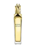 Rise by Beyoncé