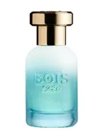 Marasma by Bois 1920
