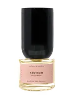 Tantrum by Boy Smells
