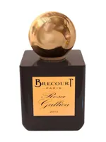 Rosa Gallica by Brecourt