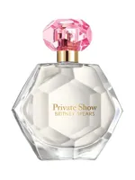 Private Show by Britney Spears