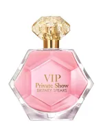 VIP Private Show by Britney Spears