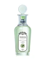 Листья томата и черной смородины - Tomato and Black Currant Leaves by Brocard