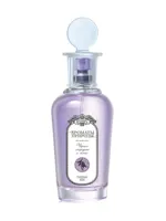 Черная смородина и мята - Black currant and Mint by Brocard