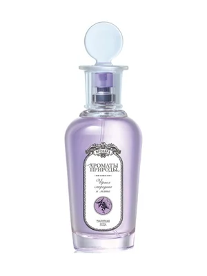 Черная смородина и мята - Black currant and Mint Eau de Parfum bottle