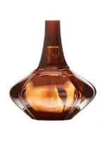 Secret Obsession by Calvin Klein