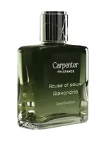 Abuse of Power (Alexandria) by Carpenter