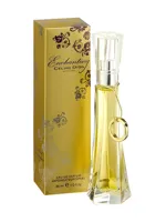 Enchanting by Celine Dion