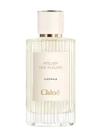Cedrus by Chloé