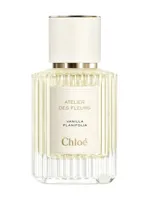 Vanilla Planifolia by Chloé