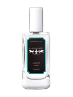 Leather Man by Dame Perfumery