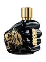 Spirit Of The Brave by Diesel
