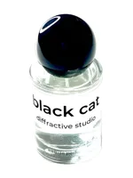 Black Cat by Diffractive Studio