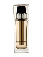 Dior Homme Voyage by Dior