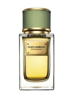 Velvet Bergamot by Dolce & Gabbana