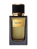 Velvet Black Patchouli by Dolce & Gabbana
