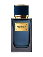 Velvet Blue Musk by Dolce & Gabbana