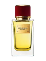Velvet Desire by Dolce & Gabbana