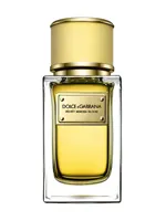 Velvet Mimosa Bloom by Dolce & Gabbana