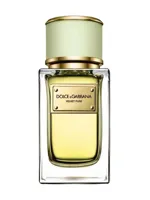 Velvet Pure by Dolce & Gabbana