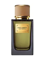 Velvet Tender Oud by Dolce & Gabbana