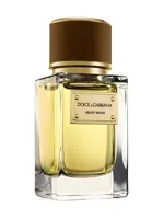 Velvet Wood by Dolce & Gabbana