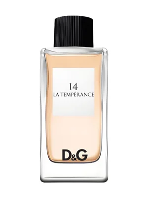 D&G Anthology La Temperance 14 Eau de Parfum bottle