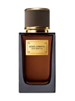 Velvet Desert Oud by Dolce & Gabbana