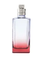 Sur Ma Peau by Dries Van Noten