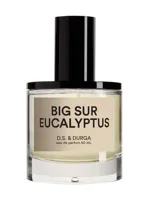Big Sur Eucalyptus by D.S. & Durga