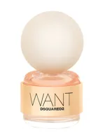 Want by DSQUARED²