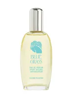 Blue Grass by Elizabeth Arden