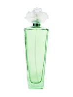Gardenia by Elizabeth Taylor