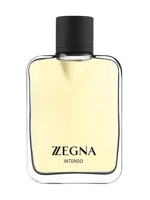 Zegna Intenso by Ermenegildo Zegna