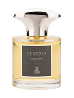 Lucid Dream by Ex Idolo
