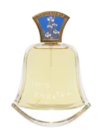 No. 18 Iris Ensata by Floriography