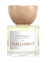 Istanbul by Gallivant