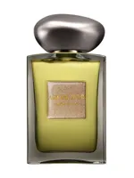 Sable Fume by Giorgio Armani