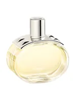 Barénia by Hermès