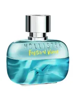 Festival Vibes for Him by Hollister