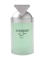 Iceberg Twice Ice by Iceberg