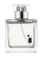 Taif Rose 2026 by Illuminum