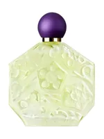 Fleurs d'Ombre/Violette - Menthe by Jean Charles Brosseau
