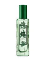 Wild Strawberry & Parsley by Jo Malone London