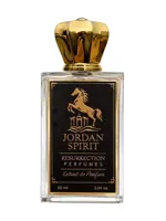 Resurrection by Jordan Spirit