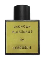 Unknown Pleasures by Kerosene
