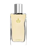 Pure Vanilla by Lavanila Laboratories