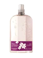 Fleurs de Brignoles (Plum Blossom) by L'Occitane en Provence