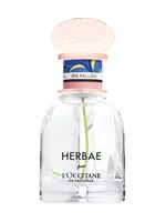 Herbae Iris Pallida by L'Occitane en Provence